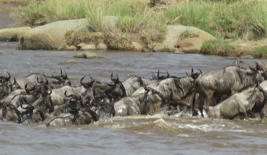 Break out and join us on a Tanzania Safari and Zanzibar Spice Island Adventure!