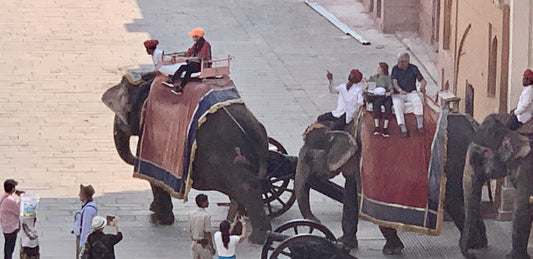 Elephant ride at main entrance Amber Fort Maharaja's Palace, Jaipur, India